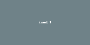 Partner logo 3