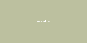 Partner logo 4
